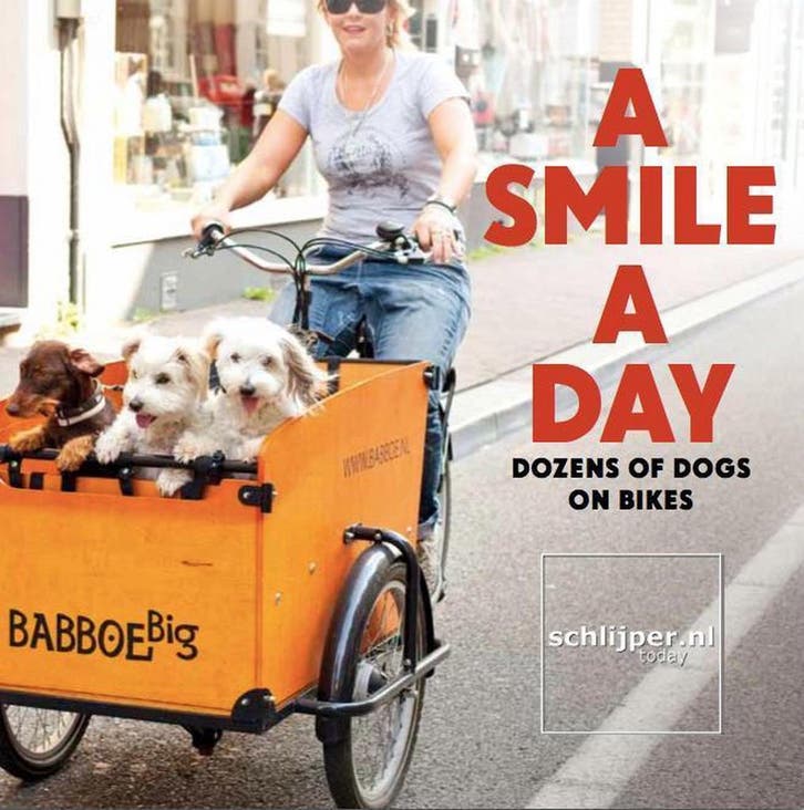 A smile a day 9789491363146 Thomas Schlijper, Livres, Loisirs & Temps libre, Envoi