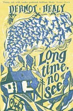 Long Time, No See 9780571210749 Dermot Healy, Verzenden, Dermot Healy