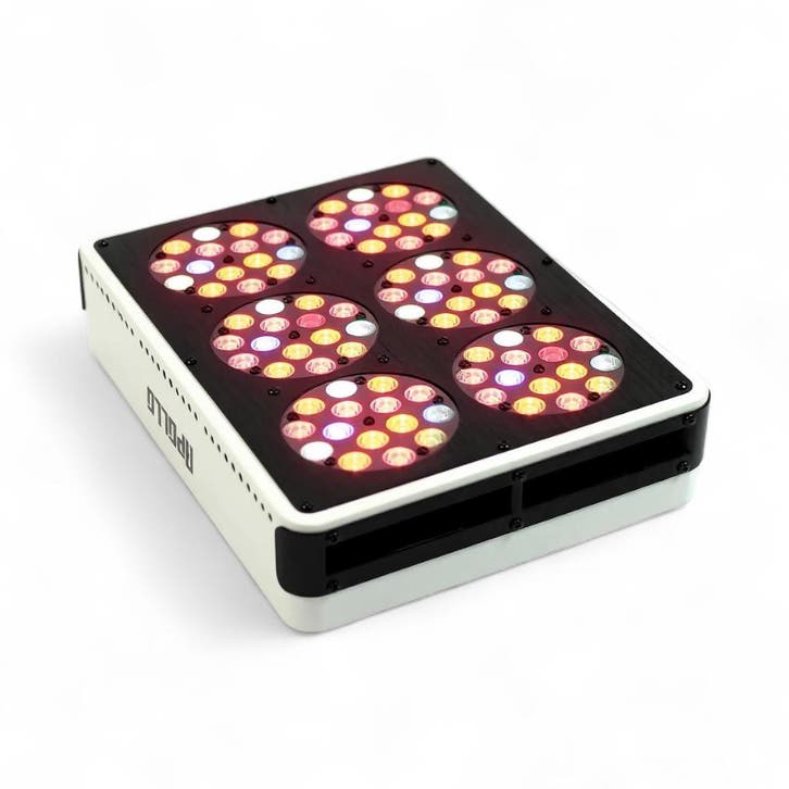 Apollo 6 LED Kweeklamp, Tuin en Terras, Kweekspullen, Nieuw, Verzenden