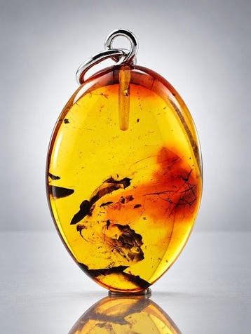 Unieke Baltische amberhanger – wesp- en keverinclusies –