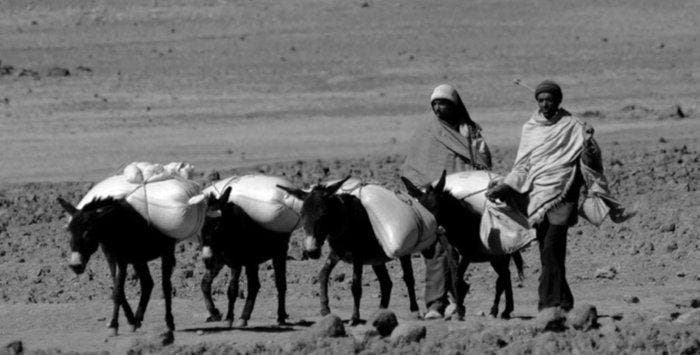 Michael Tsegaye - Ethiopia at Work, Antiquités & Art, Art | Objets design