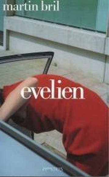 Evelien 9789044603705 Martin Bril, Verzenden, Zo goed als nieuw, Martin Bril