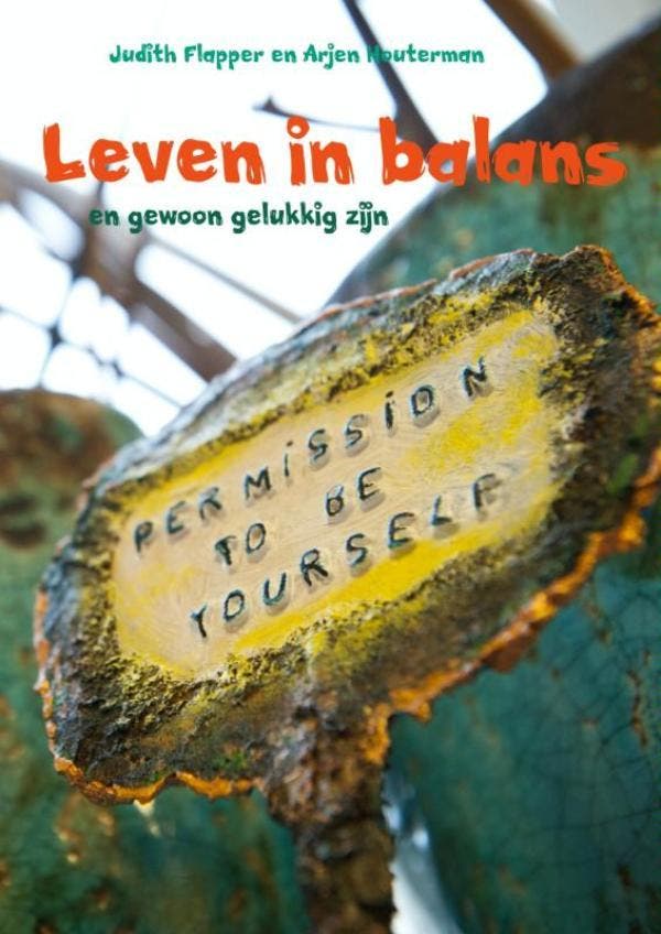 Leven in balans 9789402154375 Judith Flapper, Livres, Psychologie, Envoi