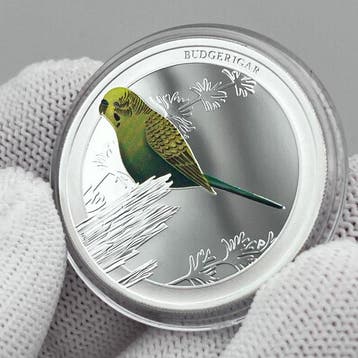 Australië. 50 Cents 2013 – Australian Birds – Budgerigar –