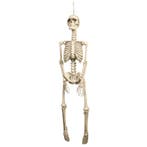 Halloween Pop Skelet 92cm, Hobby en Vrije tijd, Verzenden, Nieuw