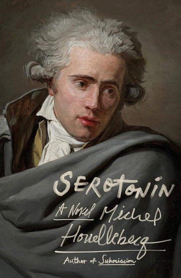 Serotonin 9780374261023 Michel Houellebecq, Verzenden, Michel Houellebecq