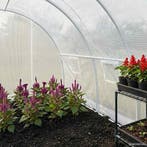 vidaXL Kas 4,5 m² 300x150x200 cm, Verzenden