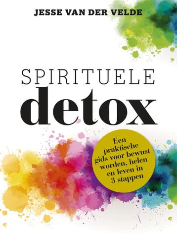 Spirituele detox 9789021567846 Jesse van der Velde, Verzenden, Gelezen, Jesse van der Velde