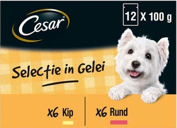 2dekans | Cesar Maaltijdzakjes Multipack Adult In Gelei -, Dieren en Toebehoren, Ophalen of Verzenden, Nieuw