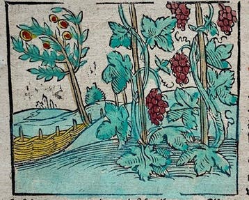 Sebastian Münster - Cosmographey: das ist, Beschreibung