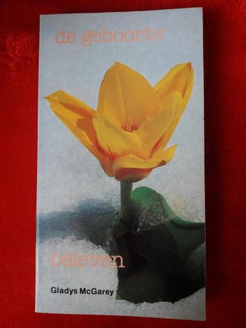 Geboorte beleven 9789020252309 MacGarey, Boeken, Verzenden, Gelezen, MacGarey