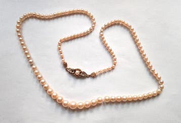 Sans prix de réserve - Collier de perles Perles Akoya - 333