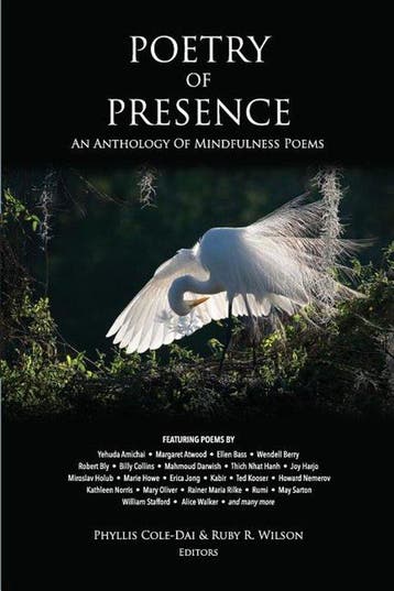 Poetry of Presence 9780998258836 Phyllis Cole-Dai, Verzenden, Gelezen, Phyllis Cole-Dai
