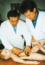 Onderwijs/demonstratiemodel - Plastic - 1970-1980 - SOMSO, Antiek en Kunst