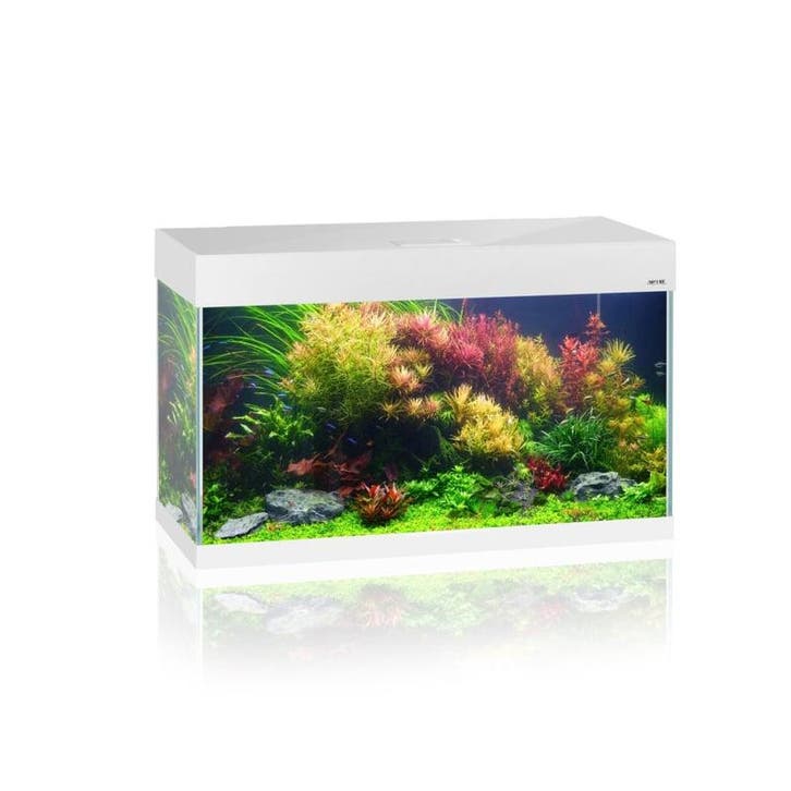 Osaka OptiSet 80 cm  Wit (Aquaria & meubels), Animaux & Accessoires, Poissons | Aquariums & Accessoires, Enlèvement ou Envoi