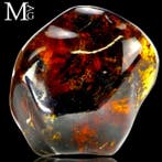 Chiapas fossiel amber – monster met iriserende kleuren -