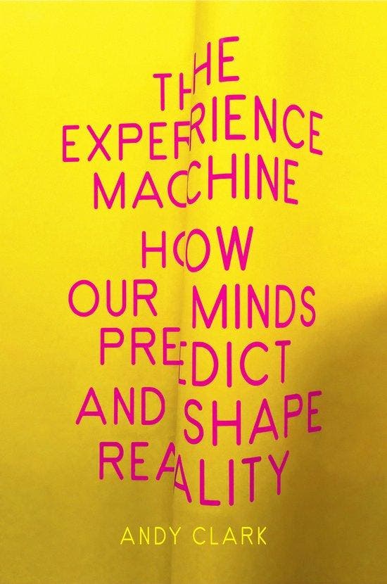 The Experience Machine 9781524748456 Andy Clark, Boeken, Taal | Engels, Zo goed als nieuw, Verzenden