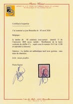 België 1870 - 40c Roze, Leopold II, variëteit: verdikking in, Postzegels en Munten, Gestempeld