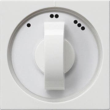 Gira Systeem 55 Besturingselement/Centrale plaat, Verzenden