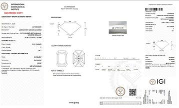 Ring - 18 karaat Geel goud - 10.31ct. tw. Diamant, Handtassen en Accessoires, Nieuw