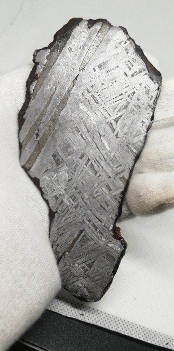 Belle meteorite Aletai. Sans prix de réserve. Météorite de