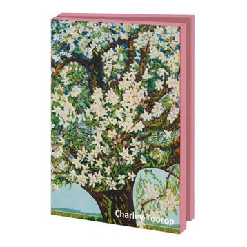 Kaartenmapje met env, groot: Charley Toorop, Museum More, Diversen, Wenskaarten, Ophalen of Verzenden, Nieuw