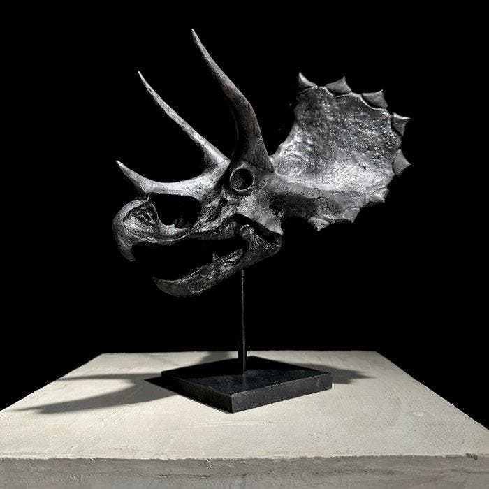 PRIX SANS RÉSERVE - Réplique d’un crâne de dinosaure, Antiquités & Art, Curiosités & Brocante