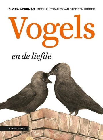 Vogels en de liefde 9789050116077 Elvira Werkman, Verzenden, Elvira Werkman