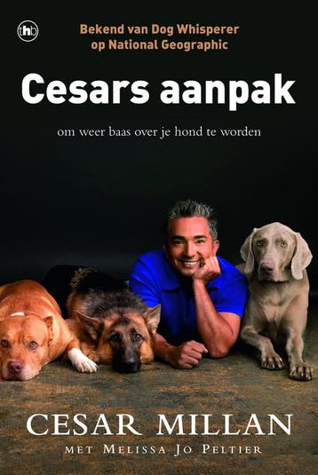 Cesars aanpak 9789044331202 Cesar Millan, Verzenden, Zo goed als nieuw, Cesar Millan