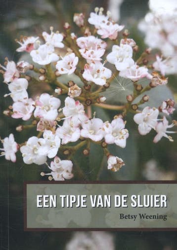Een tipje van de sluier 9789052945996 Betsy Weening, Verzenden, Zo goed als nieuw, Betsy Weening