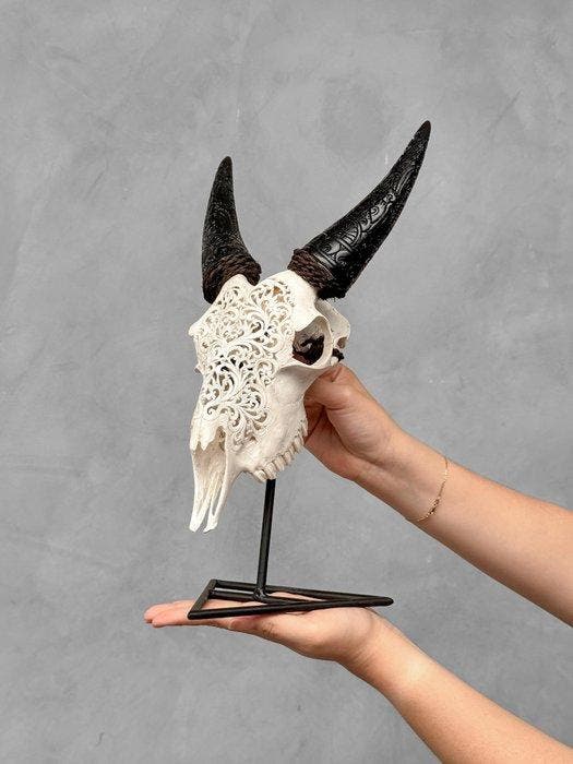 GEEN MINIMUMPRIJS - Authentieke bewerkte witte geiten, Antiek en Kunst, Kunst | Designobjecten