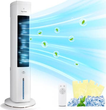 Taylor Swoden Glacier - Luchtkoeler - Aircooler 5L - Torenve, Verzenden