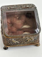 Antiek 19e eeuws vitrine kistje voor het opbergen van een