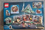 Lego Set - 76428 - Harry Potter - Hagrids Hut: Een