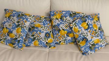 Coussins élégants de style maison de campagne avec des