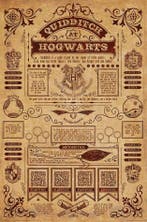 Harry Potter Poster Quidditch at Hogwarts 91 x 61 cm, Verzamelen, Ophalen of Verzenden, Nieuw