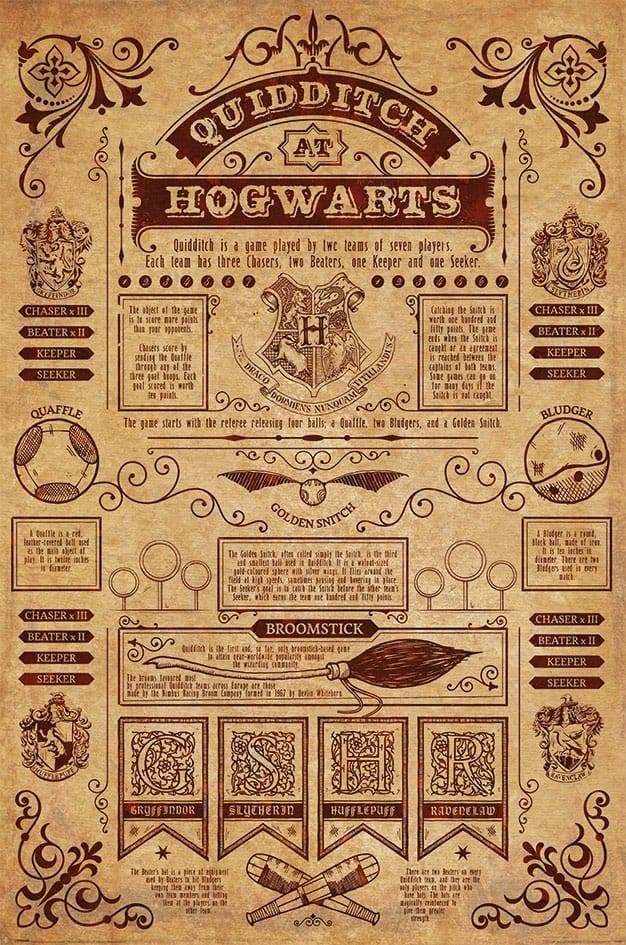 Harry Potter Poster Quidditch at Hogwarts 91 x 61 cm, Verzamelen, Harry Potter, Nieuw, Ophalen of Verzenden