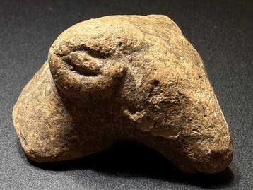 Oud-Grieks, Hellenistisch Terracotta Zoomorfe kop van een