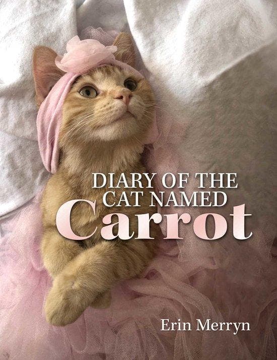 Diary of the Cat Named Carrot 9780757323904 Erin Merryn, Livres, Langue | Anglais, Envoi