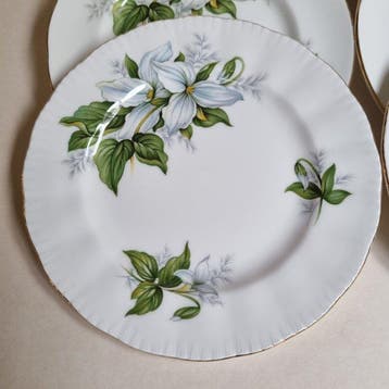Paragon, Royal Albert - Plat (11) - Porcelaine - Trillium