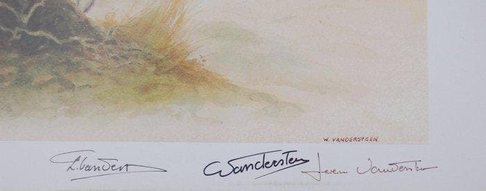 Willy Vandersteen - De Kalmthoutse Heide - 1 Ex Libris -, Boeken, Stripverhalen