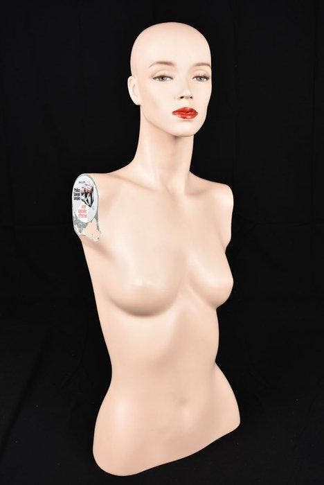 Mannequin - Kunststof, Antiquités & Art, Antiquités | Assiettes décoratives & Carrelages