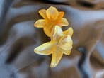 Decoratief ornament - Daum - Frankrijk - Decoratieve bloemen