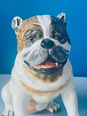 V. Bassano - sculptuur, vintage Bulldog - 22 cm - Keramiek