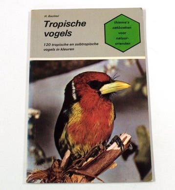 Tropische vogels - Bechtel, Verzenden, Nieuw