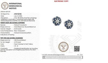 Oorbellen - 18 karaat Witgoud - 9.09ct. tw. Saffier -, Handtassen en Accessoires, Oorbellen, Nieuw