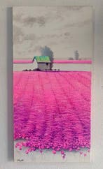 Roberto Mauri (1977) - Riflessi di un Sogno Magenta