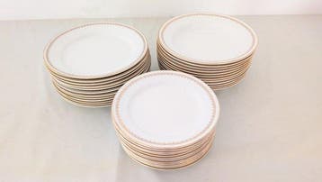 Richard Ginori, Pagnossin - Eetservies voor 12 (36) -