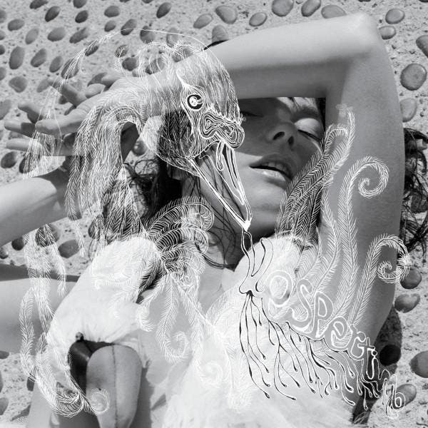 Björk - Vespertine, CD & DVD, CD | Dance & House, Envoi