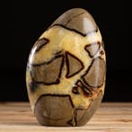 Pierre naturelle - Forme libre - Dragon Stone - septaria -